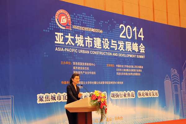 中央電視臺主持人董倩主持本次峰會