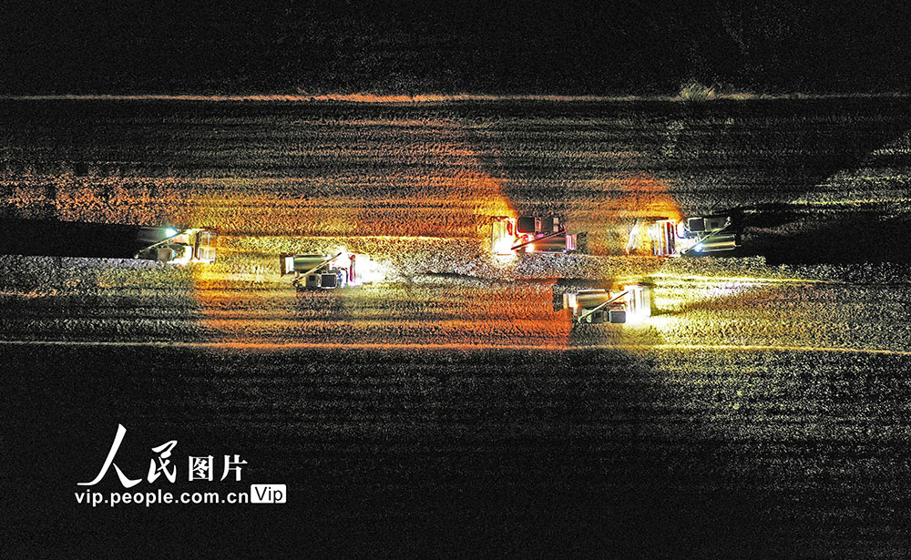 江蘇泗洪：挑燈夜戰(zhàn)搶收忙